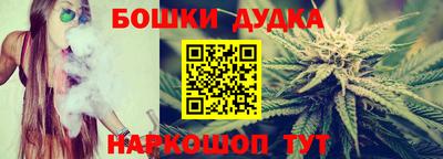 винт Сланцы