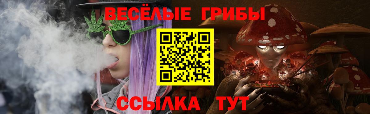 Нижнекамск  как найти закладки  Вход с VPN  Галлюциногенные грибы прущие грибы 